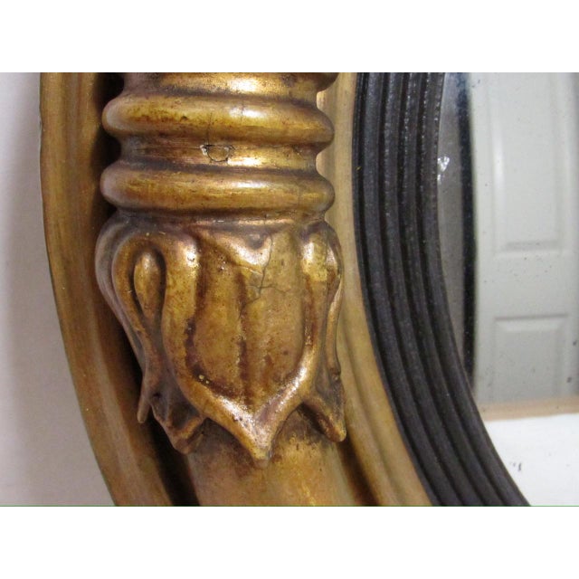 Wood English Regency Giltwood Convex Mirror For Sale - Image 7 of 18