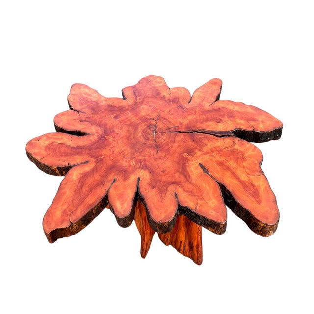 Brown Beautiful Vintage Cypress Live Edge Tree Stump Center Coffee Table For Sale - Image 8 of 15