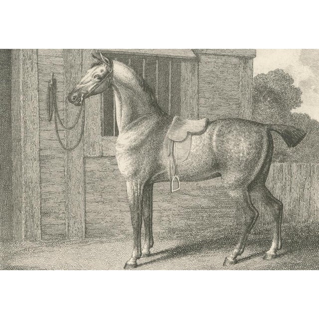 Late 18th Century Samuel Howitt, The Hunter, 1799, Engraving For Sale - Image 5 of 9