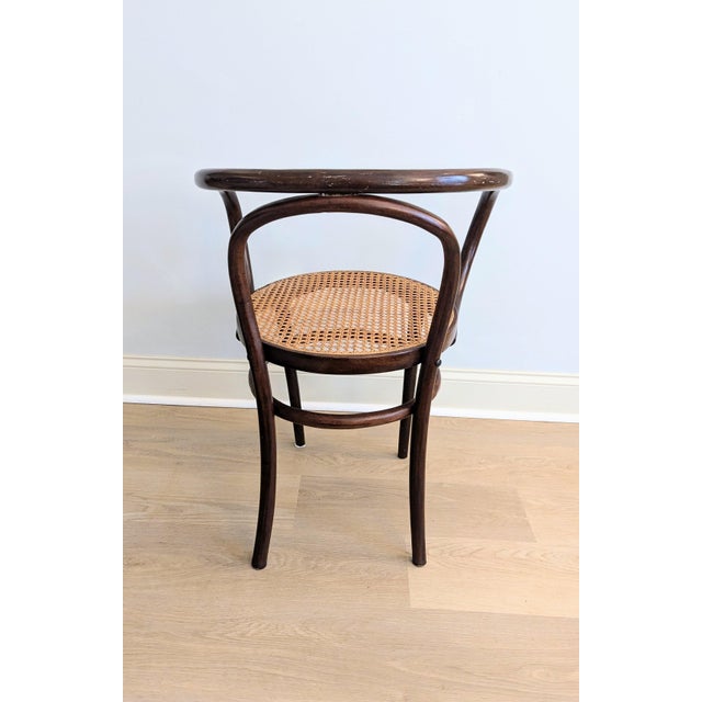 Brown Vintage Gerdau Bentwood Chair Caviuna Wood & Cane Seat in the Style of Thonet For Sale - Image 8 of 14