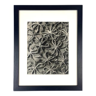 Framed Vintage Botanical Blossfeldt Print - No. 118 For Sale