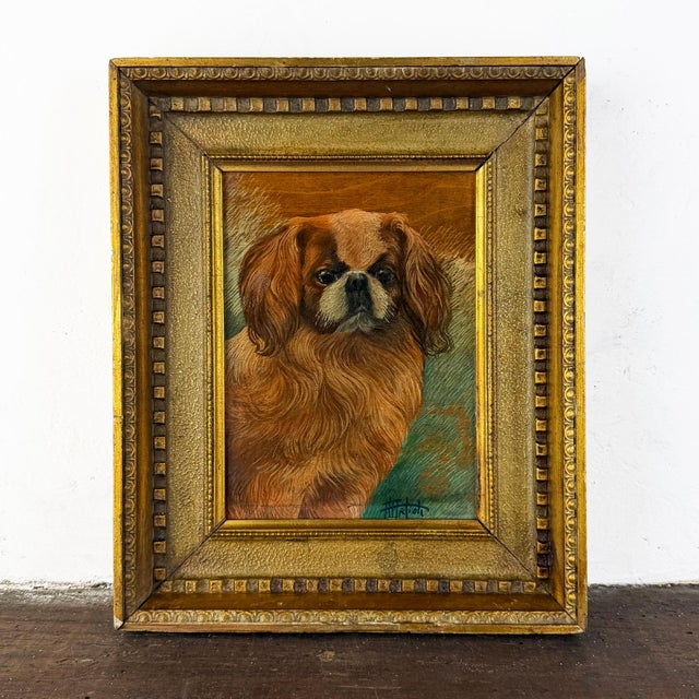Pekingese Dog Portrait, Oil on Panel, 20th Century, Framed For Sale - Image 12 of 12