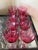 George Borgfeldt Co. 1950s Set of 8 Borgfeldt Lisa Cranberry Optic Wine Glasses For Sale - Image 4 of 7