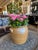 Brown Grès De Bonny French Ceramic Planter For Sale - Image 8 of 8