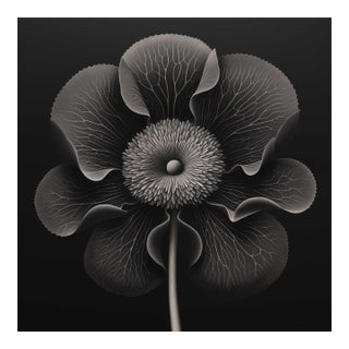 20' X 20 'Kalmia Augustofolia' - Black and White Limited Edition Botanical Photography Print, Unframed For Sale