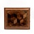 Early 19th Century Regency Plumwood Specimen Wood Box For Sale - Image 10 of 13