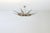 Model 1563 Dahlia Glass Chandelier by Max Ingrand for Fontana Arte, Italy, 1955 For Sale - Image 11 of 13