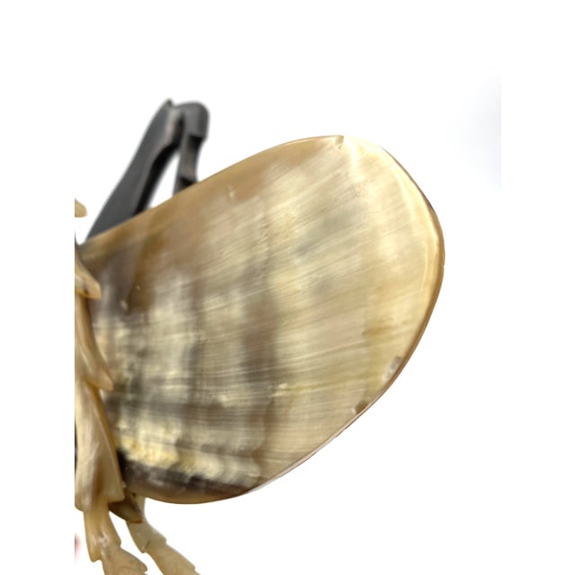 Mid-Century Hand-Crafted Horn Grasshopper, France 1960s For Sale - Image 12 of 12