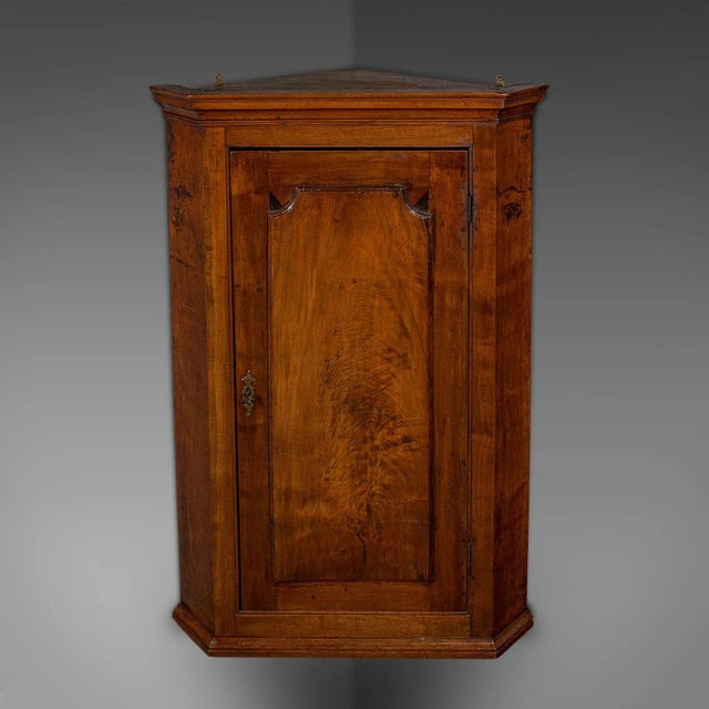 1780s Georgian Antique Corner Cabinet, English, Wall Cupboard, Floor Standing For Sale - Image 11 of 12
