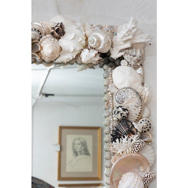 Custom Organic Shell Mirror For Sale - Image 4 of 8