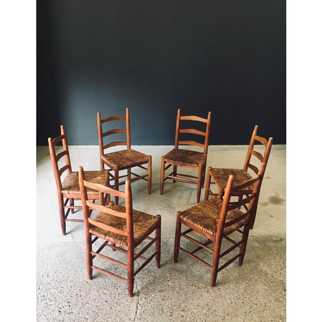 Low Rustic Ladder Back Dining Chairs in Oak and Rush, Belgium, 1950s, Set of 6 For Sale - Image 6 of 18