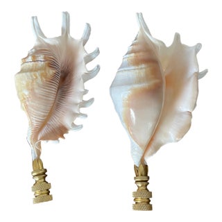 1960s Pair Vintage Coastal SeaShells Lamp Finials For Sale
