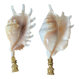 1960s Pair Vintage Coastal SeaShells Lamp Finials