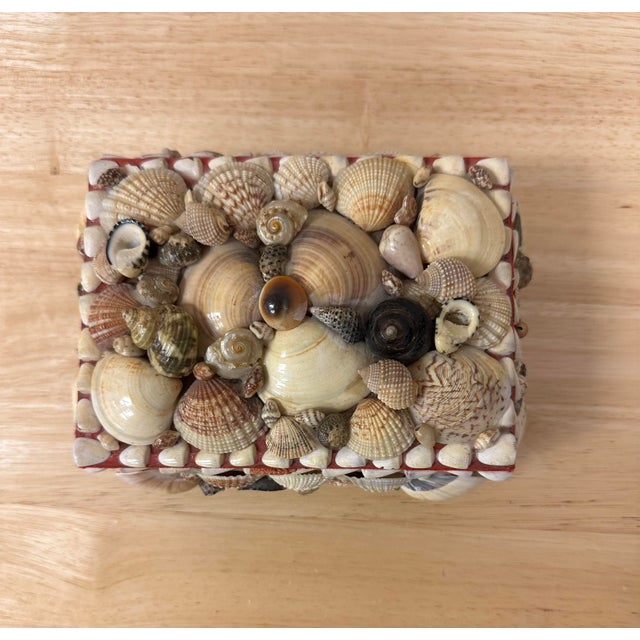 Beige Mid 20th Century Natural Seashell Encrusted Box Red Lining For Sale - Image 8 of 9