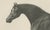 After Chalon, Volunteer & Selim Thoroughbred Horses, Lithographs, 1840, Set of 2 For Sale - Image 6 of 9