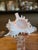 Large White Specimen Murex Seashell With Pink Aperture For Sale In Phoenix - Image 6 of 17