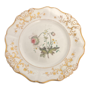 Early 19th Century English Botanical Porcelain Plate