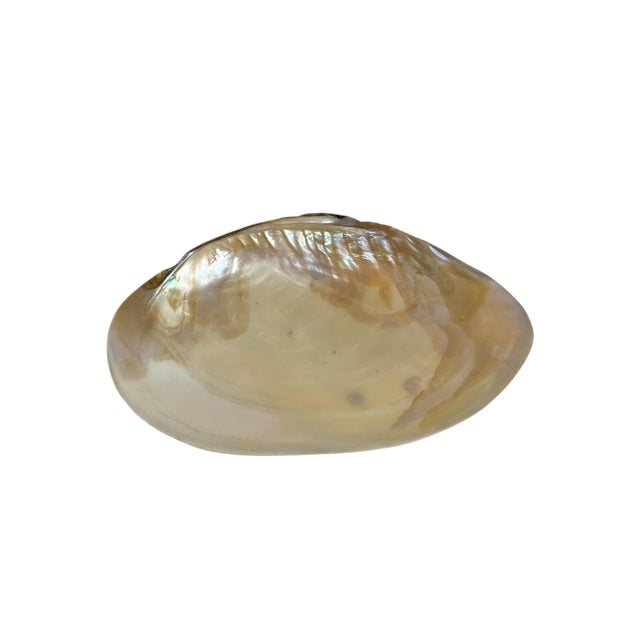 Vintage Polished Shell Caviar Footed Serving Dish Plate For Sale - Image 11 of 12