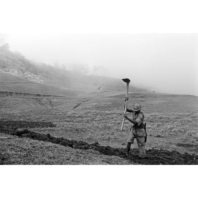 This black-and-white photograph captures a scene of agricultural labor in the hills surrounding Port-au-Prince, Haiti. The...