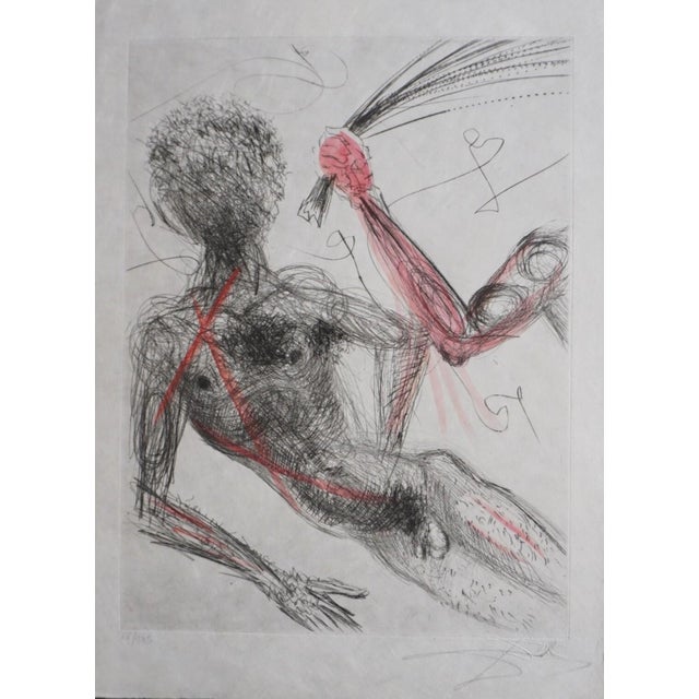 1960s Dali La Venus Aux Fourrures Woman With Whip H Sig Dali Archives Certified For Sale