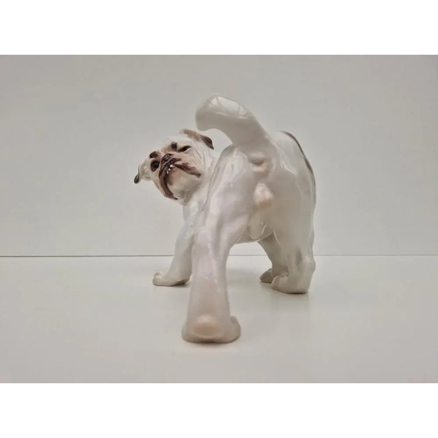 English Bulldog Figurine from Bing & Grondahl, 1960s For Sale - Image 6 of 9