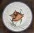 Ceramic Este Ceramiche for Gump's Coastal Plates, Set of Four For Sale - Image 7 of 12