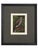 Illustration Set of Three Framed Eric Daglish Bird Lithographs From Birds of the British Isles — Jay, Nutcracker & Bullfinch c.1950 For Sale - Image 3 of 5
