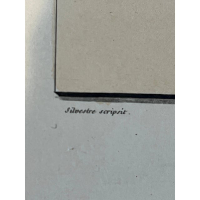 Silvestre Universal Palaeography Plate 209: 16th C. Spanish Cançoner For Sale - Image 4 of 4