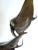 Mid 20th Century Mantas in Flight - Bronze Sculpture For Sale - Image 5 of 7