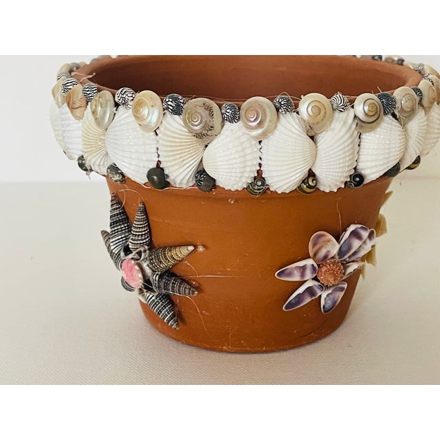 4-5” Terracotta flower pot encrusted with sea shells arranged in 5 different flower patterns.