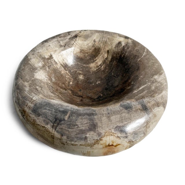 Natural petrified wood polished smooth shallow saucer bowl with beautiful grain patterns. Minimalist sloped design gives...