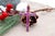 19.2k Gold Cross Pendant with Rubies For Sale - Image 4 of 8