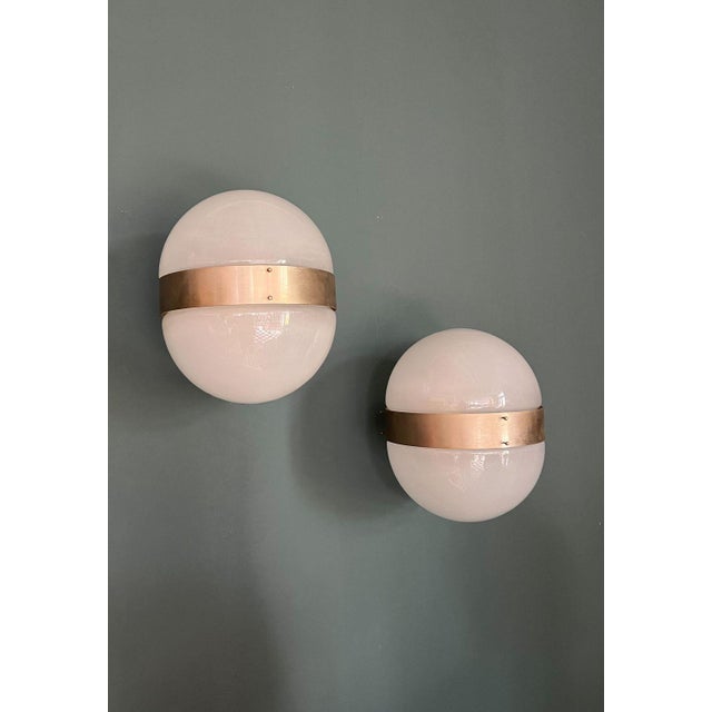 Clio Wall Sconce by Sergio Mazza for Artemide, Italy, 1963 For Sale - Image 6 of 9