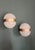 Clio Wall Sconce by Sergio Mazza for Artemide, Italy, 1963 For Sale - Image 6 of 9