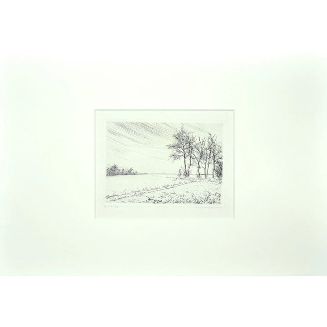 Landscape is an original modern artwork realized by Andre Roland Brudieux. Original etching on paper. Hand-signed on the...