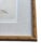 Antique Lydon Morris Hand Colored Seabird Ornithological Prints Framed Set of 3 Circa 1880 For Sale In Los Angeles - Image 6 of 12