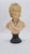 An original plaster bust of a child (boy) from the turn of the 19th and 20th centuries. A classic academic model, formerly...