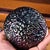 Vintage Chinese Carved Polychrome Dragon Box With Pair of Iridescent Dragon's Pearl Spheres For Sale - Image 9 of 9