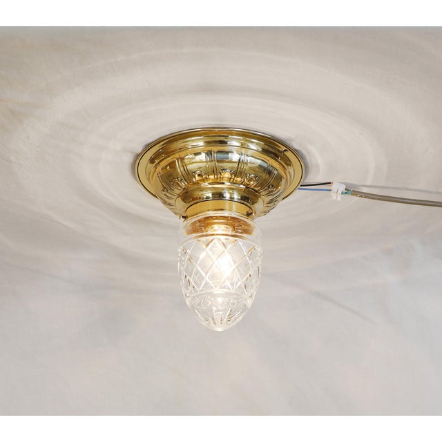 Art Nouveau Glass Ceiling Lamp, 1890s For Sale - Image 10 of 10