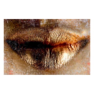 Sia Aryai "Papillon" Framed Print For Sale