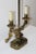 French Style Brass Candelabra Converted to Table Lamp For Sale In San Francisco - Image 6 of 9