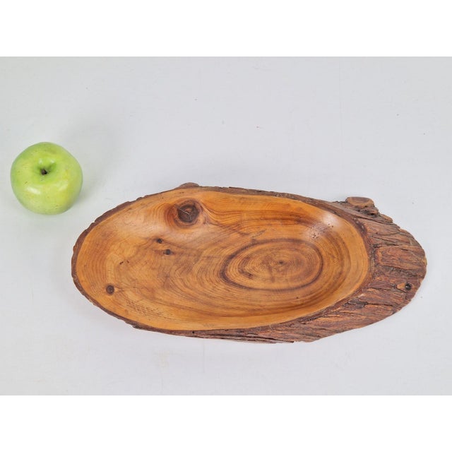 Brown Vintage Brutalist Pine Tree Trunk Bowl, 1960s For Sale - Image 8 of 11