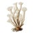 Elegant and timeless, this White Coral Botanical Fine Art Print celebrates the intricate beauty of marine life through the...