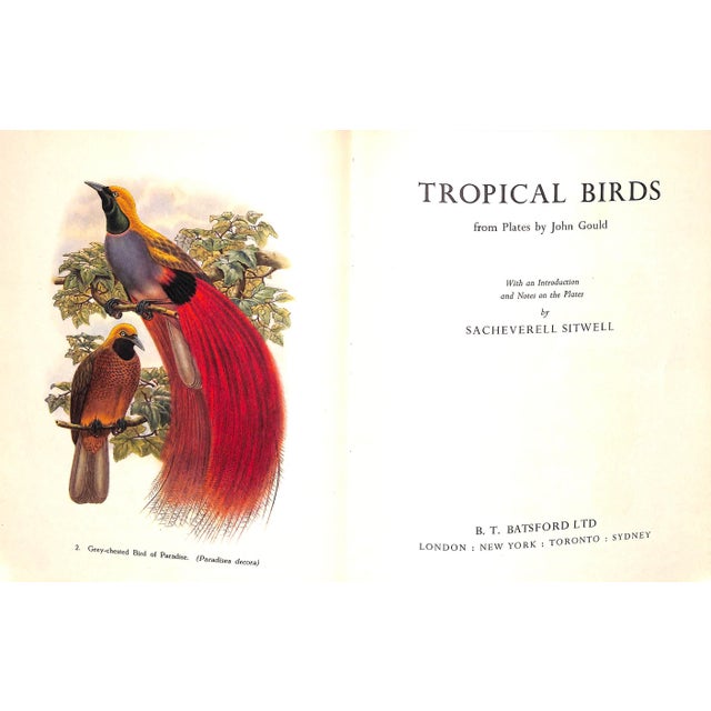 Traditional "Tropical Birds" 1948 Sitwell, Sacheverell For Sale - Image 3 of 10