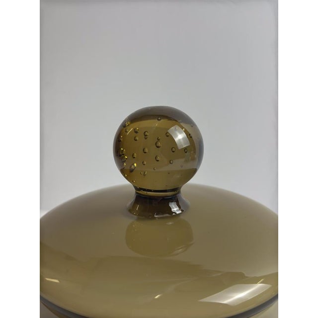 Cased Brown Empoli Glass Apothecary Jar by Carlo Moretti, Italy, 1960s For Sale - Image 9 of 10