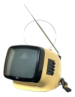 Vintage Rex L9 Television by Luigi Molinis, 1970s