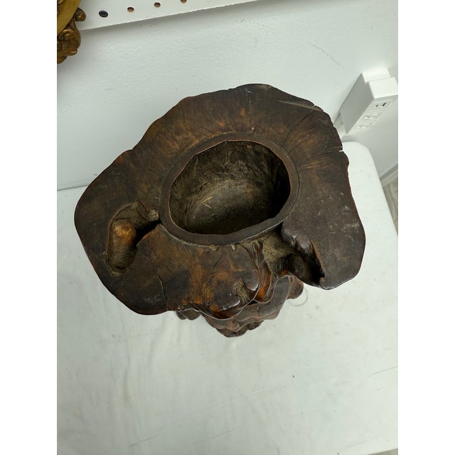 Mid 20th Century Mid 20th Century Japanese Root Planter For Sale - Image 5 of 5