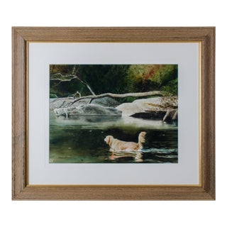 Mark Stewart River Dog Watercolor Painting For Sale
