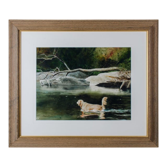 Mark Stewart River Dog Watercolor Painting For Sale