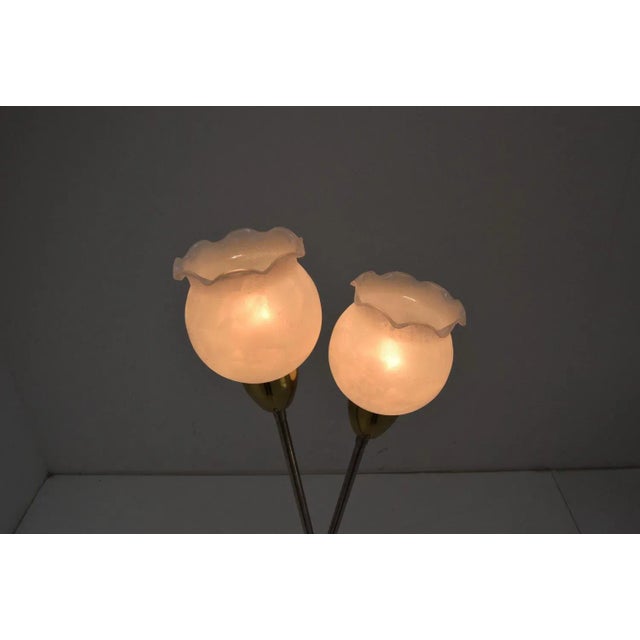 Mid-Century Floor Lamp by Kamenicky Senov, 1960s For Sale - Image 4 of 10